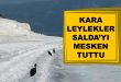 Kara Leylekler Salda Gölü Sahillerinde